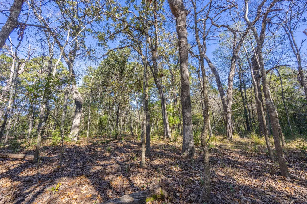 Anderson County Road 163 Elkhart, TX 75839