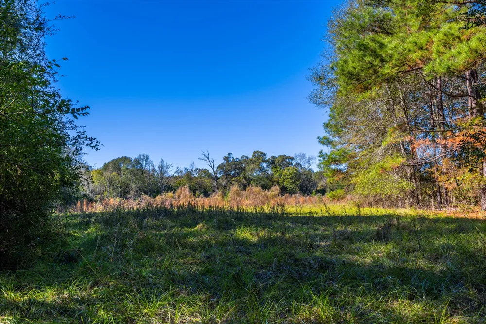 Anderson County Road 163 Elkhart, TX 75839
