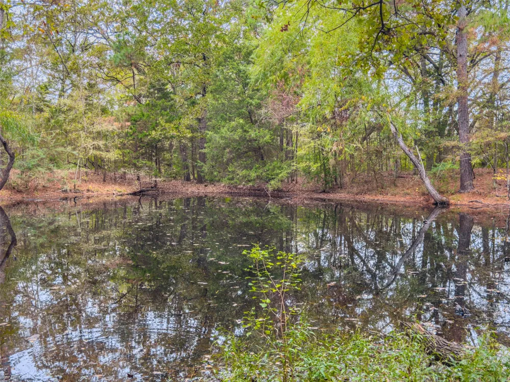 Anderson County Road 163 Elkhart, TX 75839