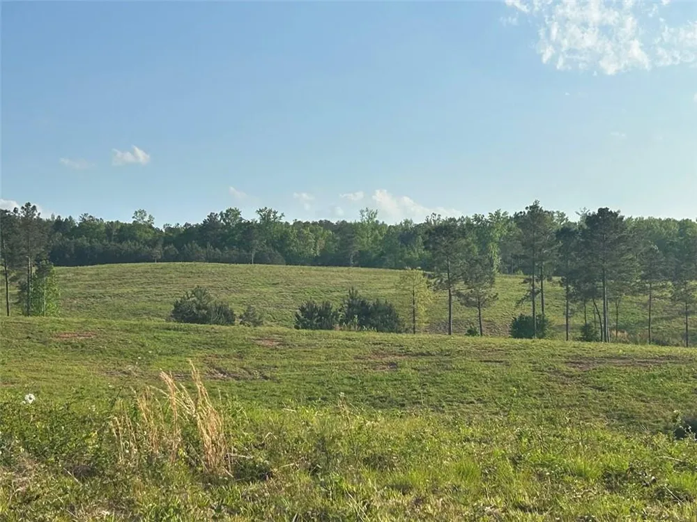 0 Needmore Rd Unit (345.37 ACRES) Roopville, GA 30170