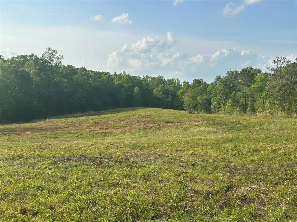 0 Needmore Rd Unit (345.37 ACRES) Roopville, GA 30170