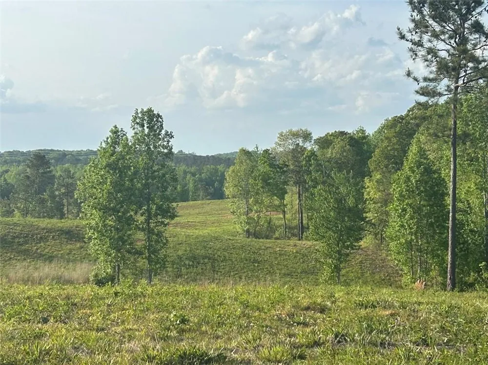 0 Needmore Rd Unit (345.37 ACRES) Roopville, GA 30170