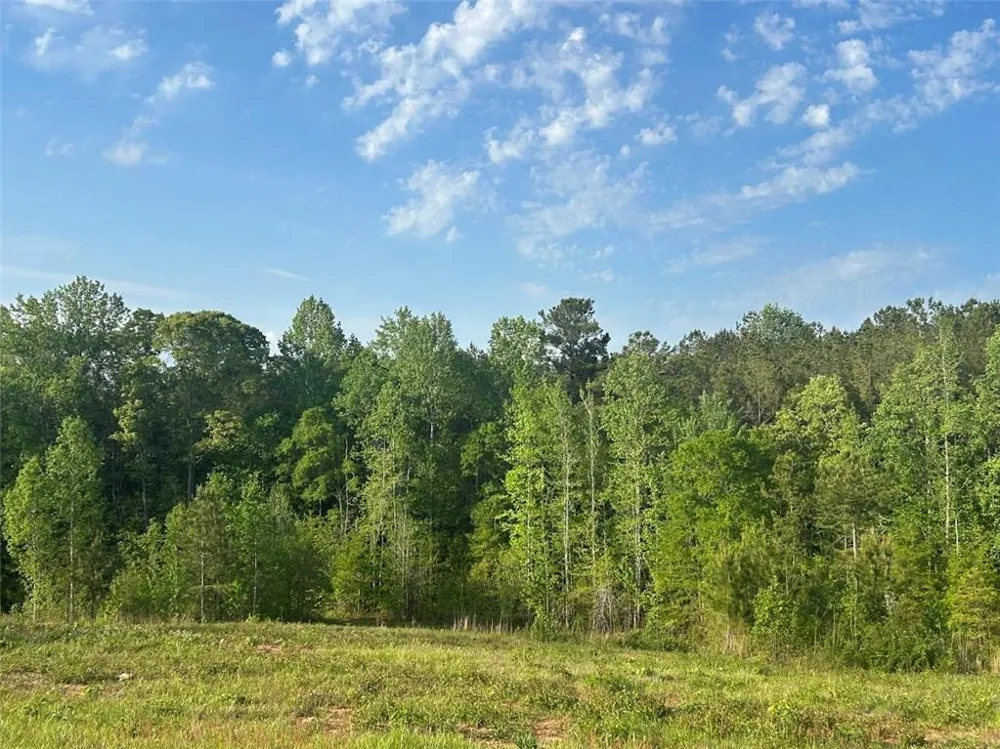 0 Needmore Rd Unit (345.37 ACRES) Roopville, GA 30170