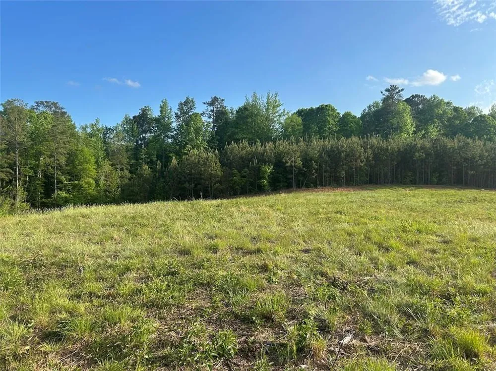 0 Needmore Rd Unit (345.37 ACRES) Roopville, GA 30170