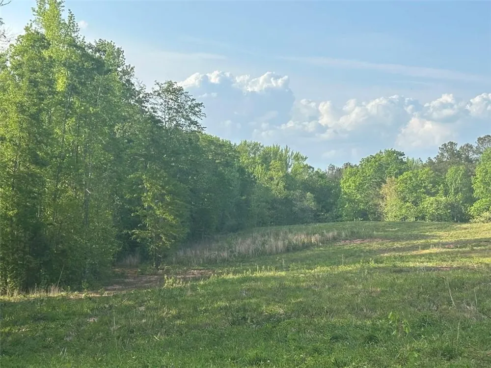 0 Needmore Rd Unit (345.37 ACRES) Roopville, GA 30170
