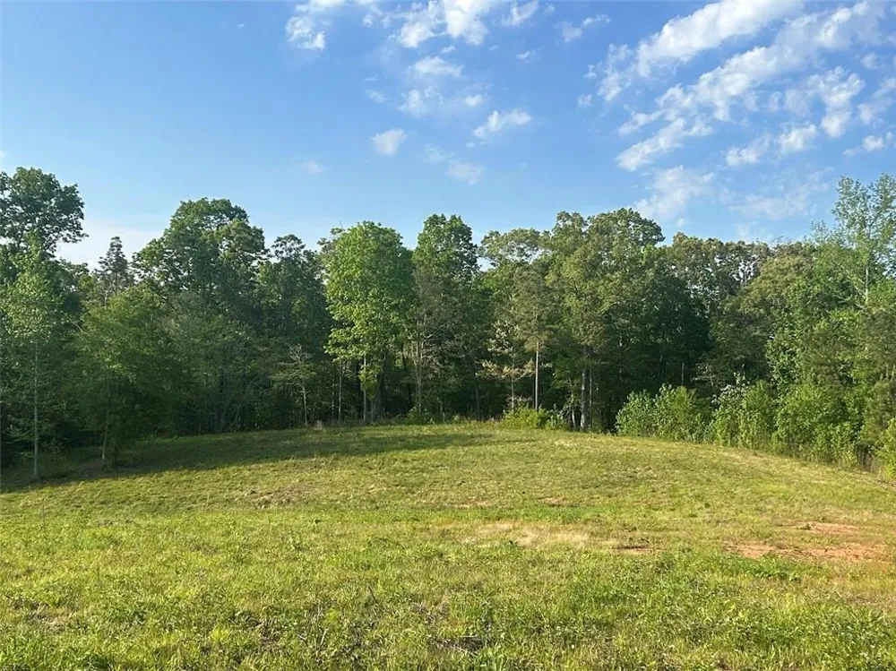0 Needmore Rd Unit (345.37 ACRES) Roopville, GA 30170