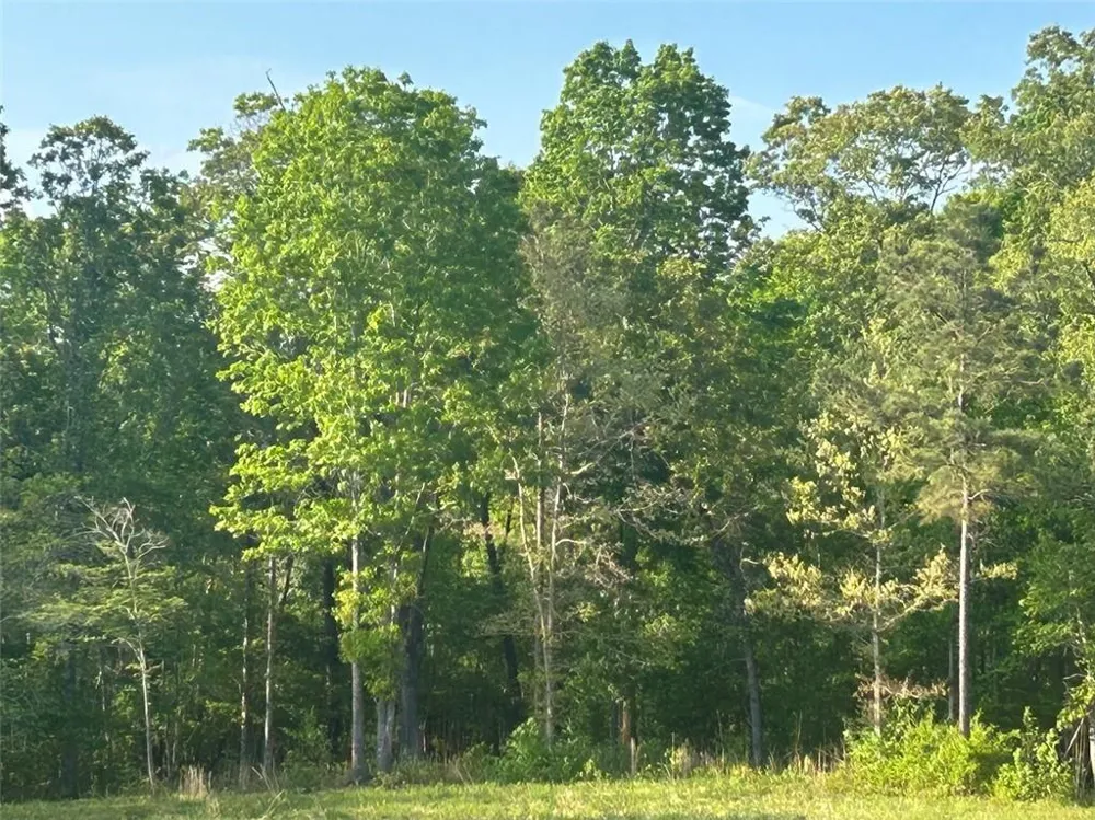 0 Needmore Rd Unit (345.37 ACRES) Roopville, GA 30170