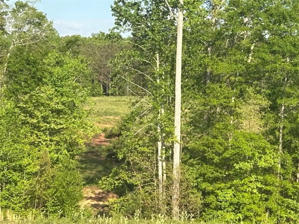 0 Needmore Rd Unit (345.37 ACRES) Roopville, GA 30170