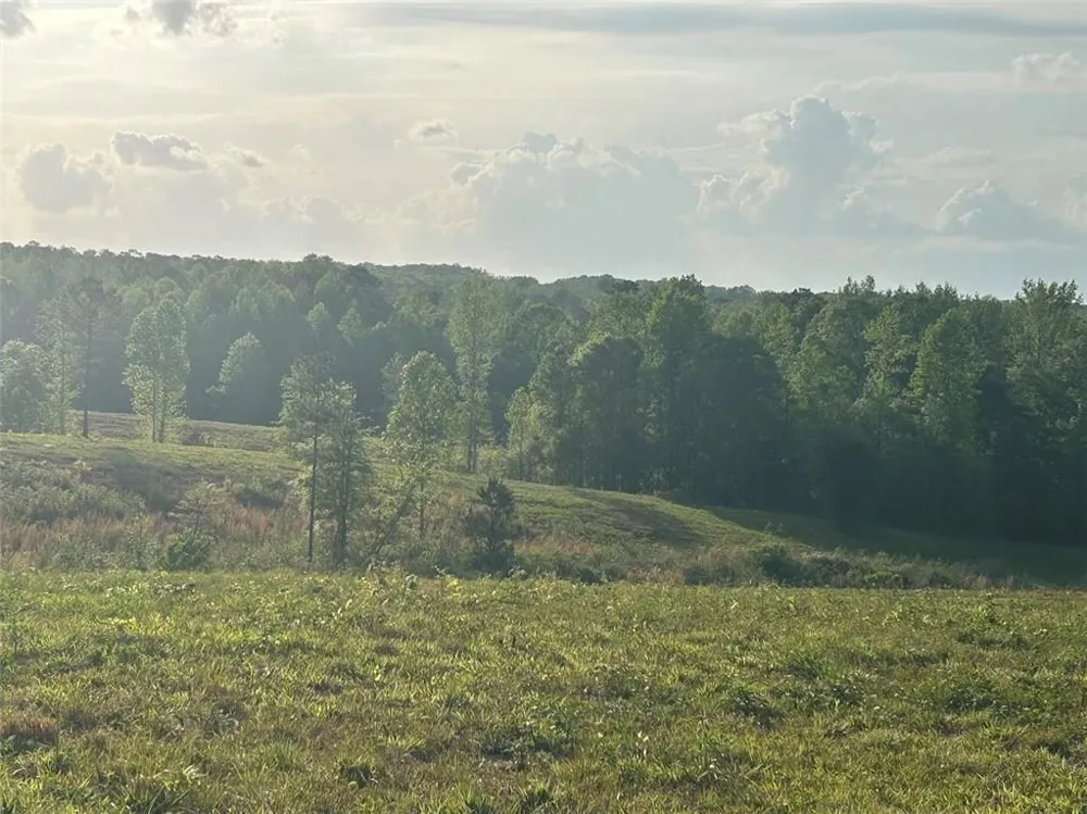 0 Needmore Rd Unit (345.37 ACRES) Roopville, GA 30170