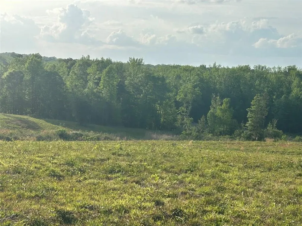 0 Needmore Rd Unit (345.37 ACRES) Roopville, GA 30170