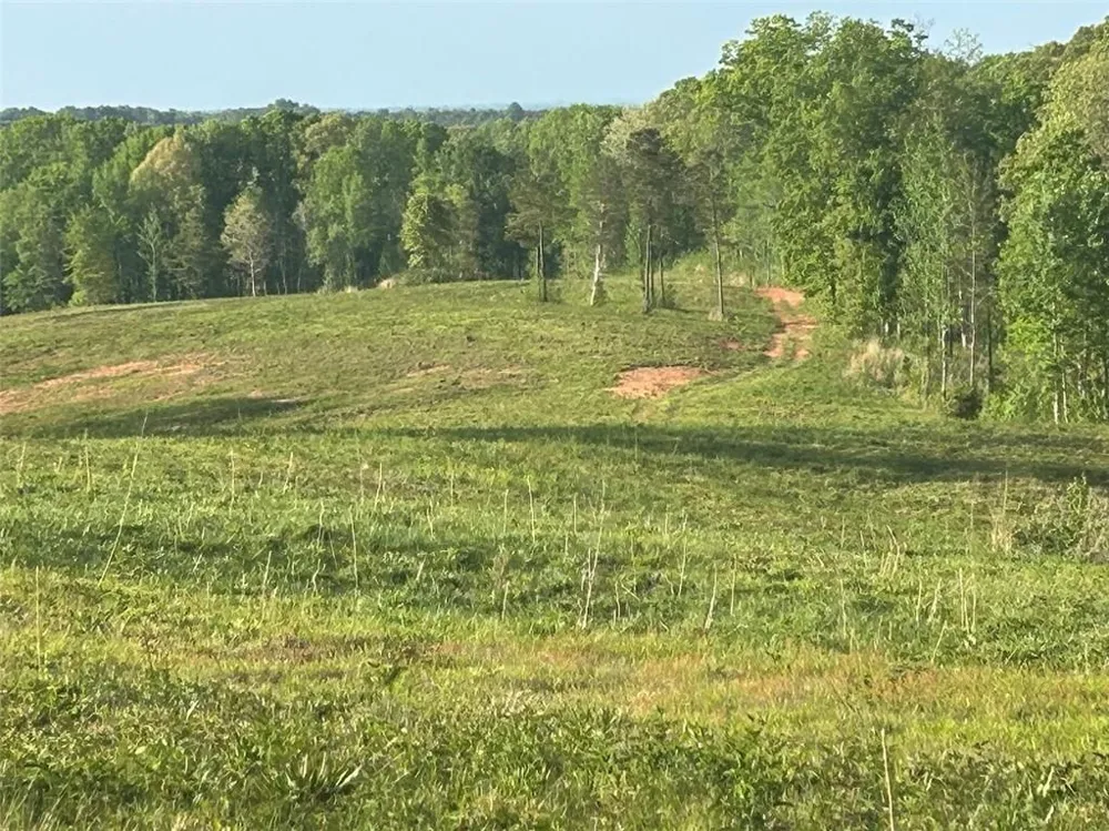 0 Needmore Rd Unit (345.37 ACRES) Roopville, GA 30170