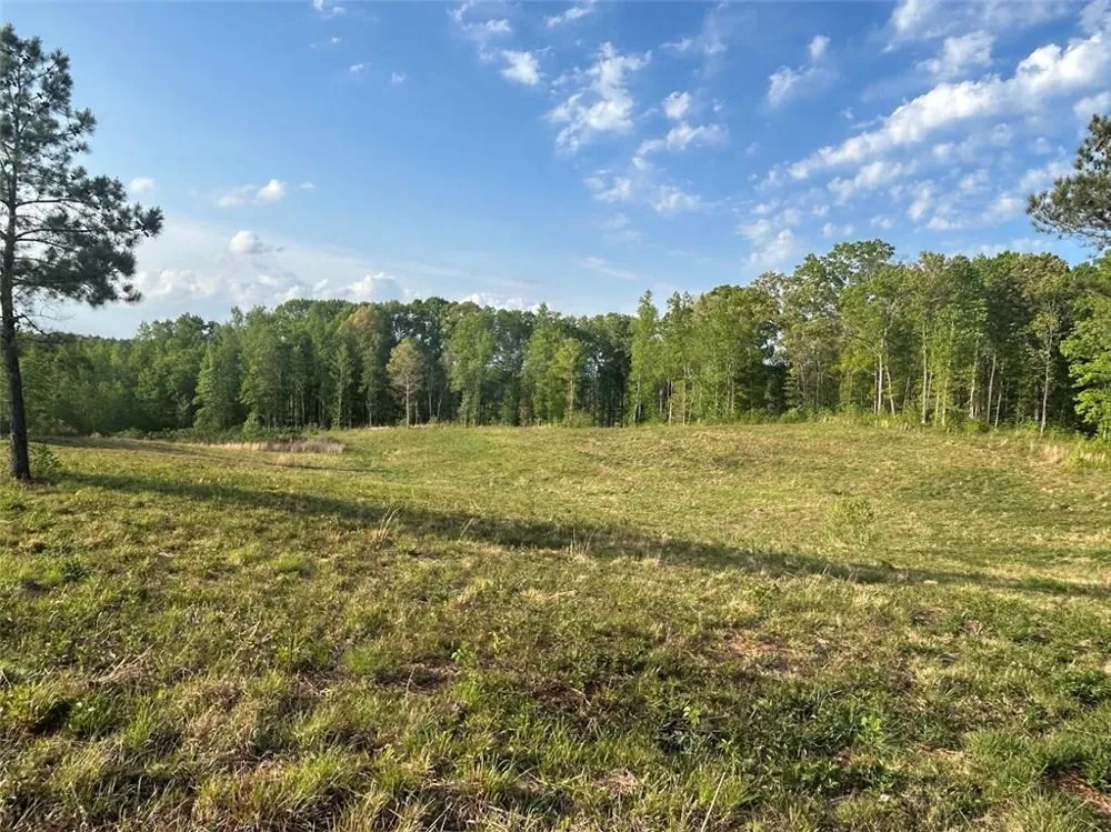 0 Needmore Rd Unit (345.37 ACRES) Roopville, GA 30170