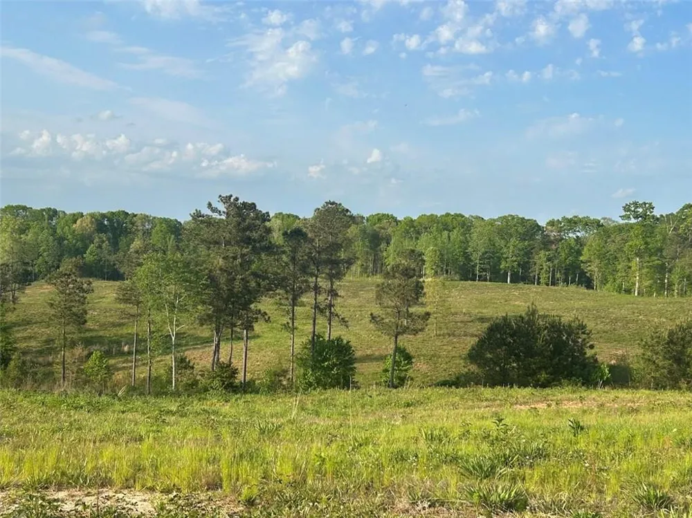 0 Needmore Rd Unit (345.37 ACRES) Roopville, GA 30170