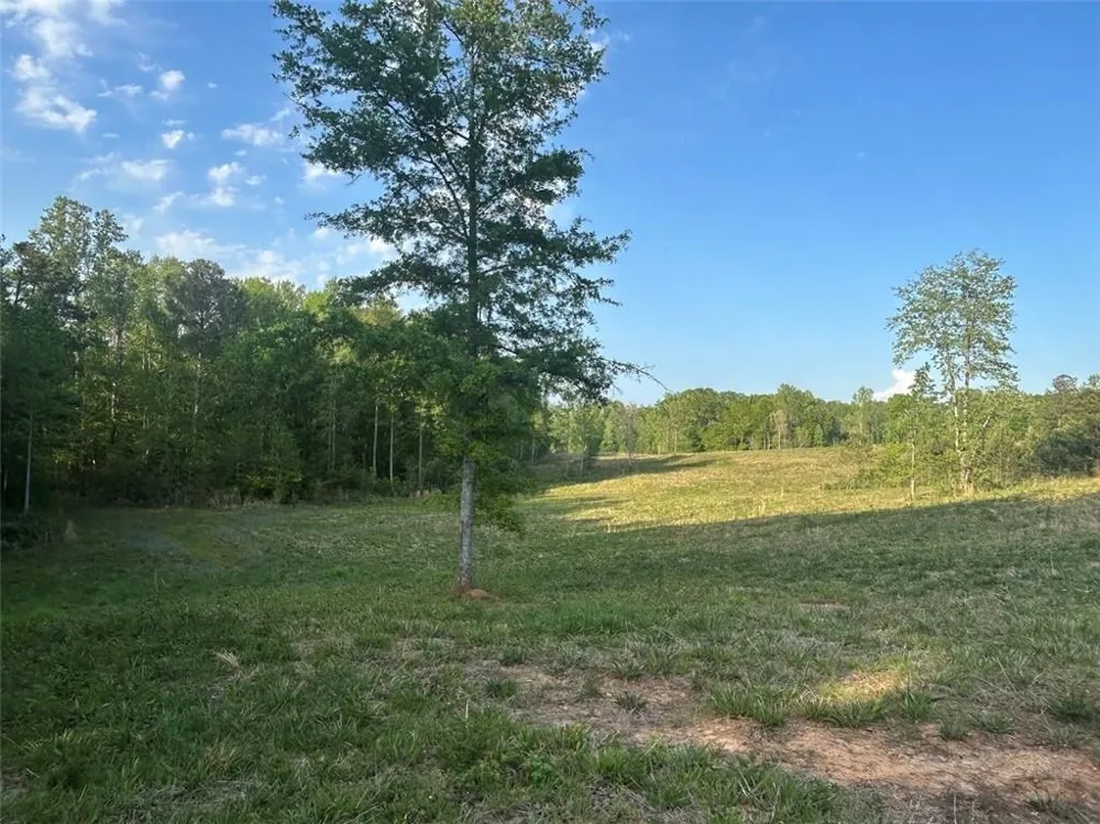 0 Needmore Rd Unit (345.37 ACRES) Roopville, GA 30170