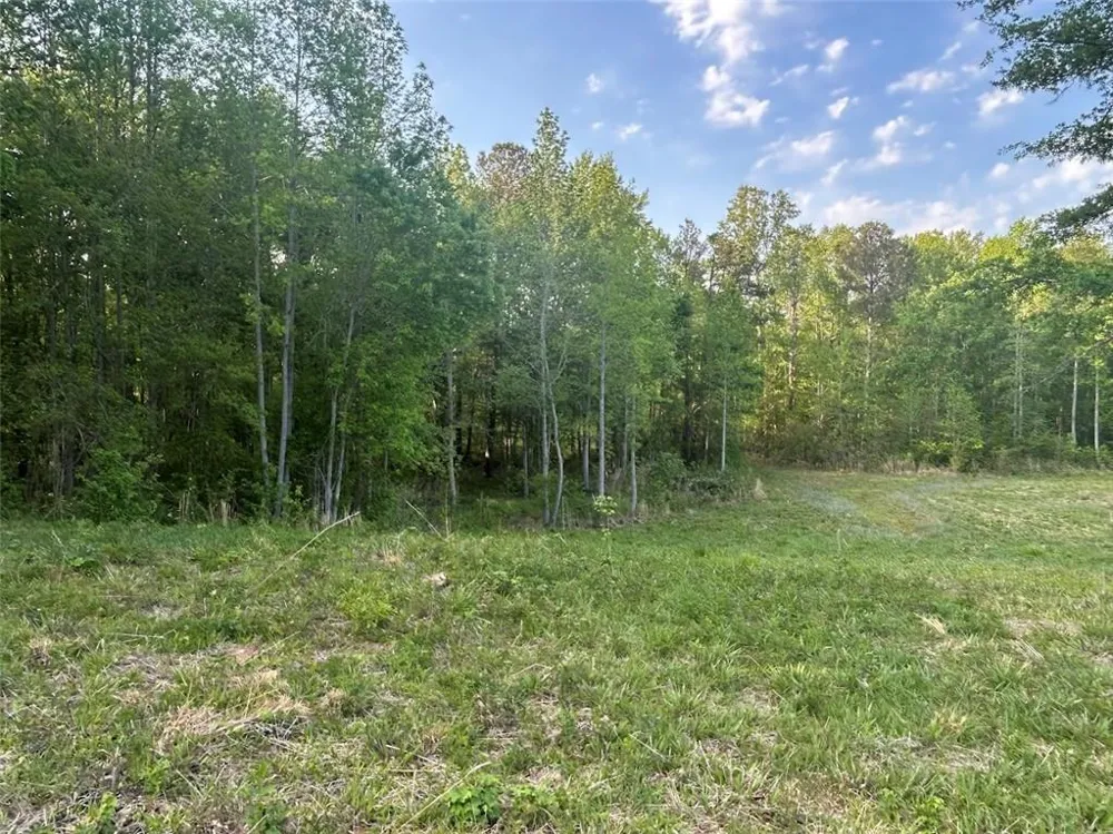 0 Needmore Rd Unit (345.37 ACRES) Roopville, GA 30170