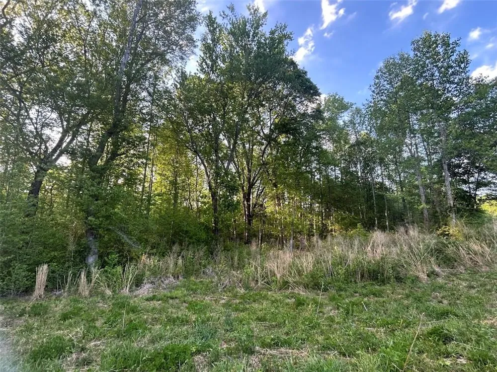 0 Needmore Rd Unit (345.37 ACRES) Roopville, GA 30170