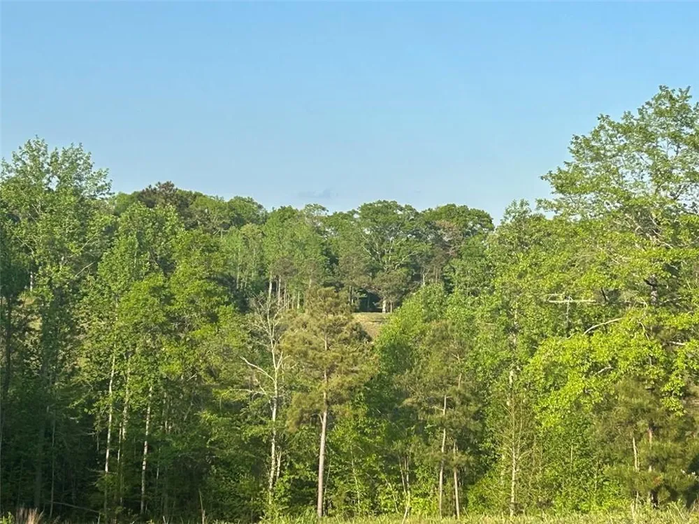 0 Needmore Rd Unit (345.37 ACRES) Roopville, GA 30170