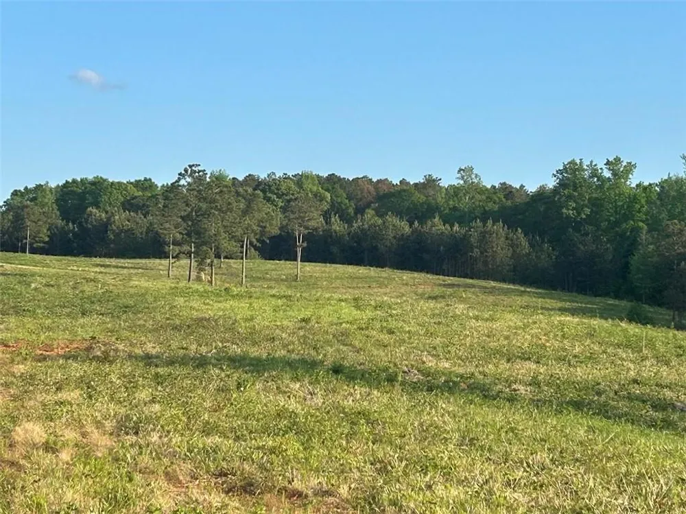 0 Needmore Rd Unit (345.37 ACRES) Roopville, GA 30170
