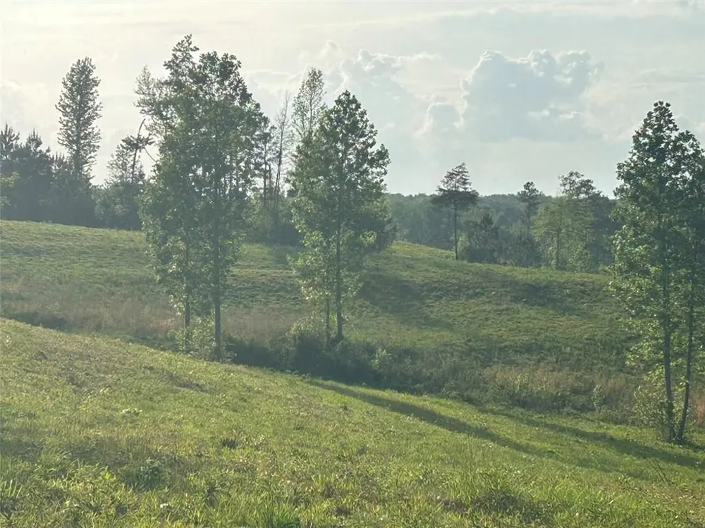 0 Needmore Rd Unit (345.37 ACRES) Roopville, GA 30170