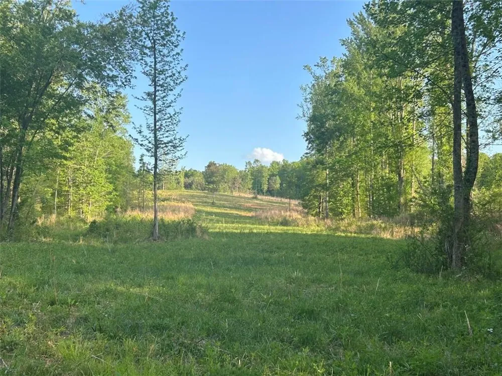 0 Needmore Rd Unit (345.37 ACRES) Roopville, GA 30170