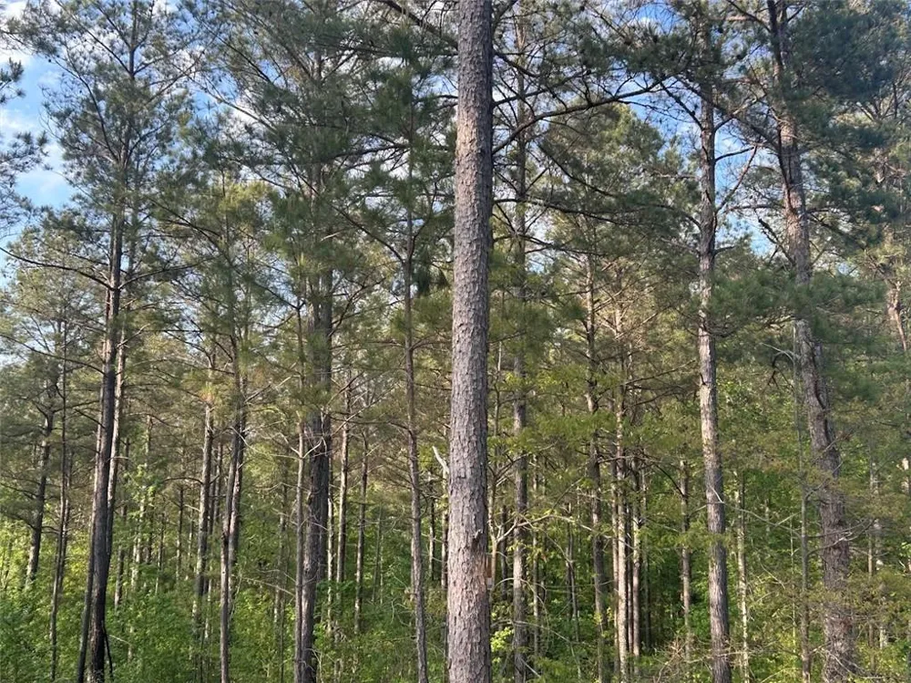 0 Needmore Rd Unit (345.37 ACRES) Roopville, GA 30170