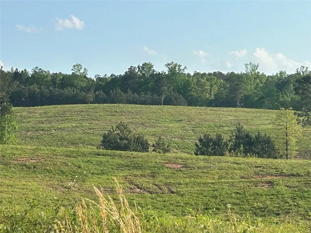 0 Needmore Rd Unit (345.37 ACRES) Roopville, GA 30170