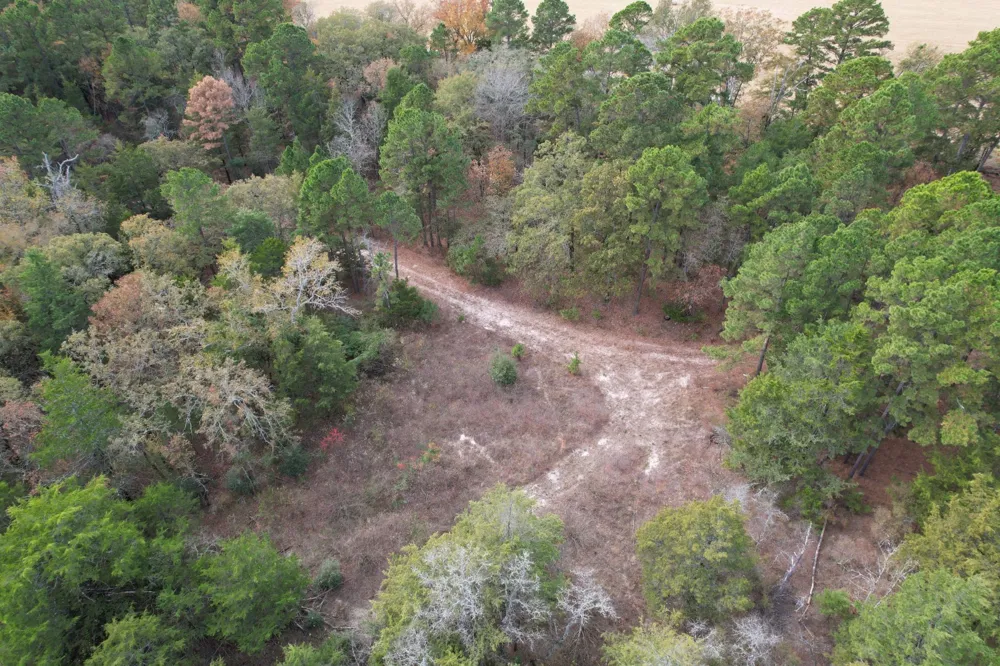 Stag Road Gilmer, TX 75644