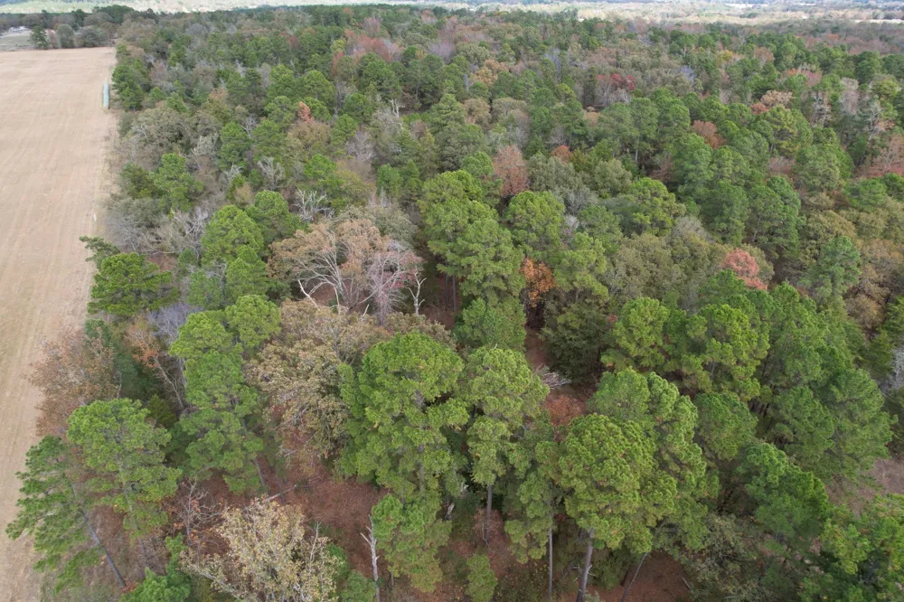 Stag Road Gilmer, TX 75644