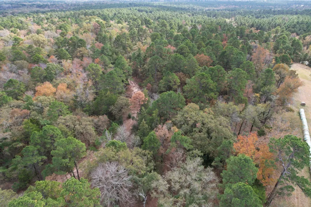 Stag Road Gilmer, TX 75644