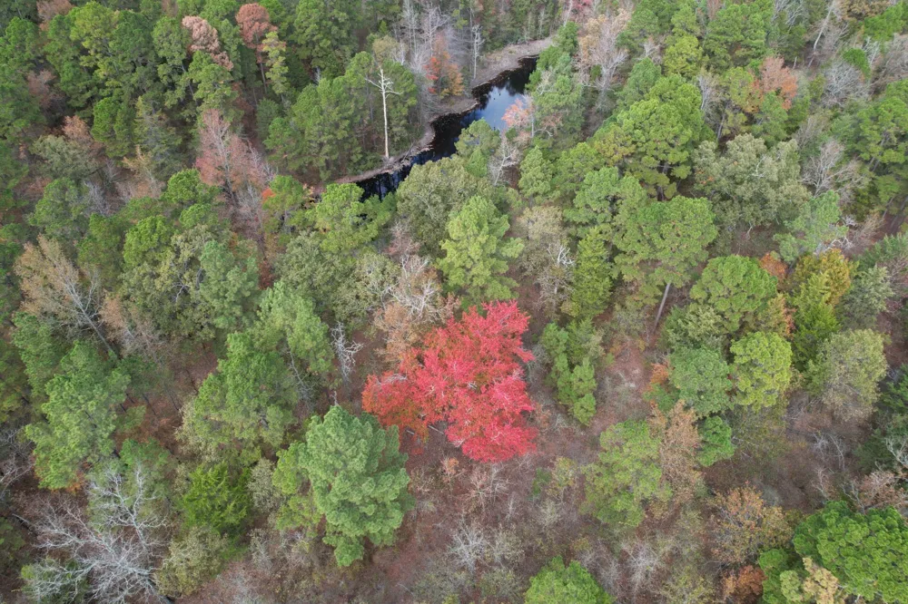 Stag Road Gilmer, TX 75644
