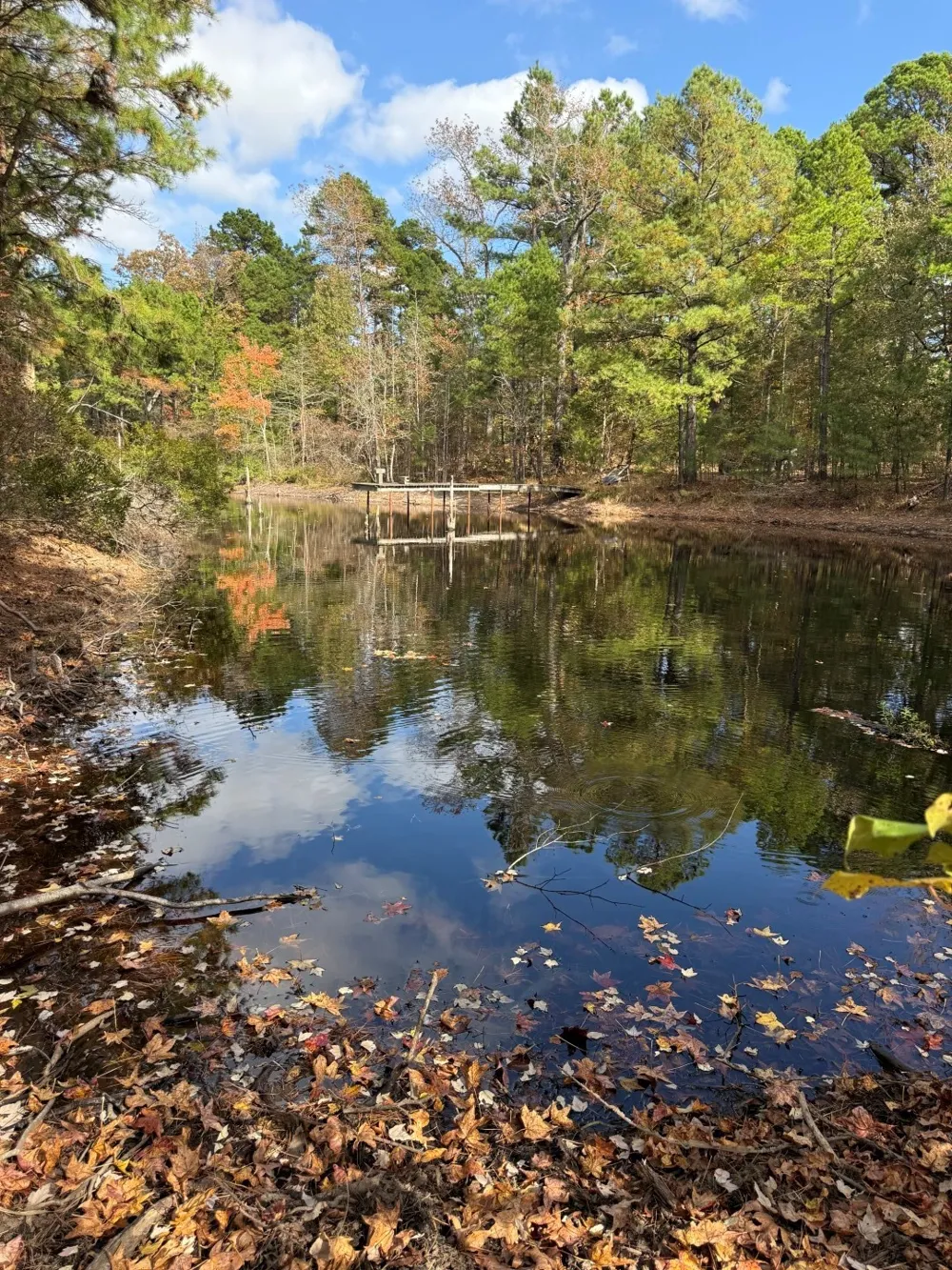 Stag Road Gilmer, TX 75644