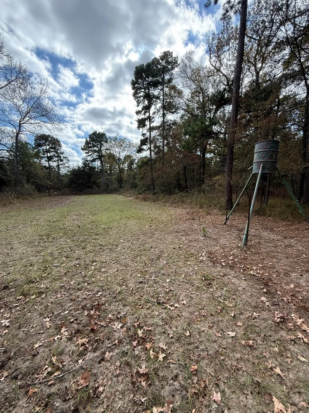 Stag Road Gilmer, TX 75644