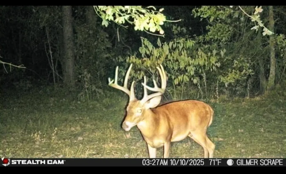 Stag Road Gilmer, TX 75644
