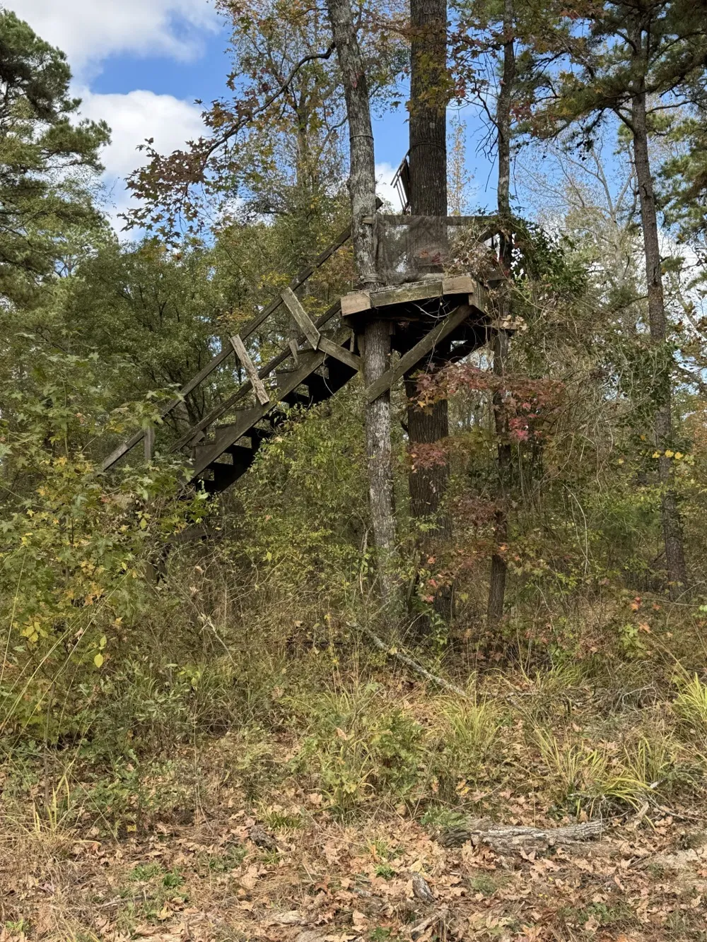 Stag Road Gilmer, TX 75644