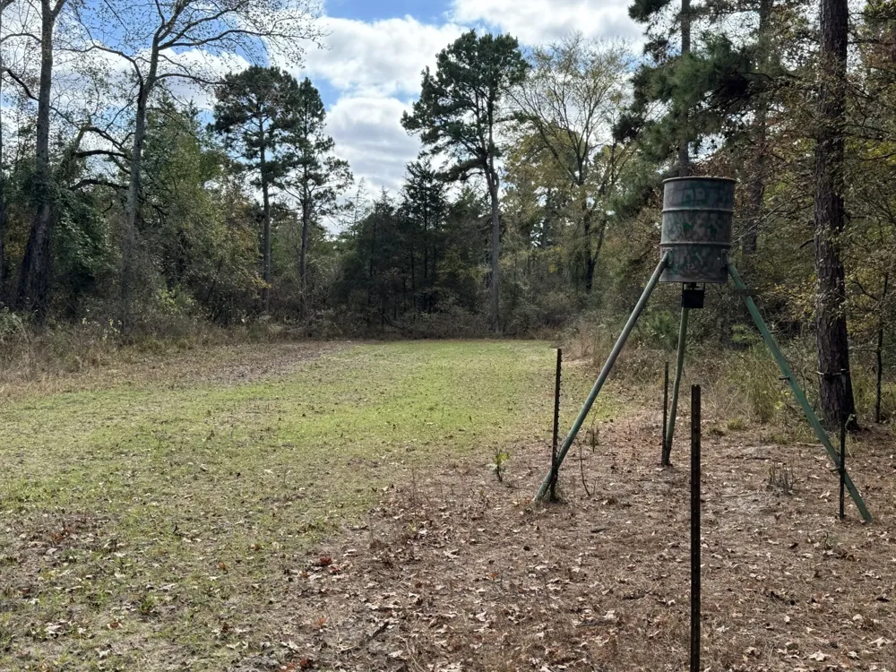 Stag Road Gilmer, TX 75644