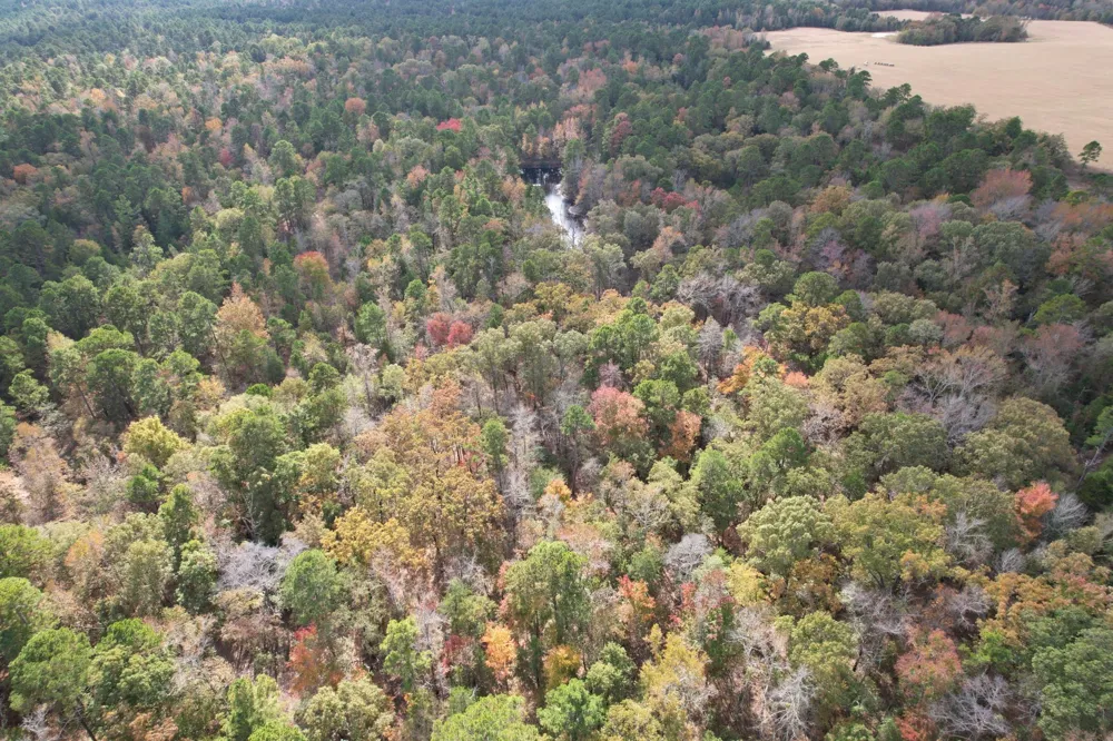 Stag Road Gilmer, TX 75644