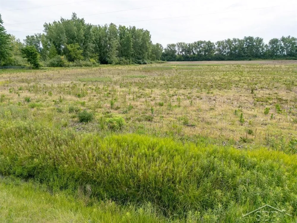 2.64 Acres N Center Road Kochville Township, MI 48604