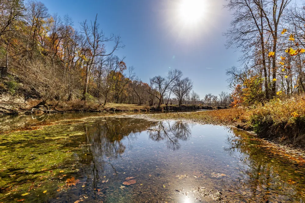 0 East Dana Kepley Westmoreland, TN 37186