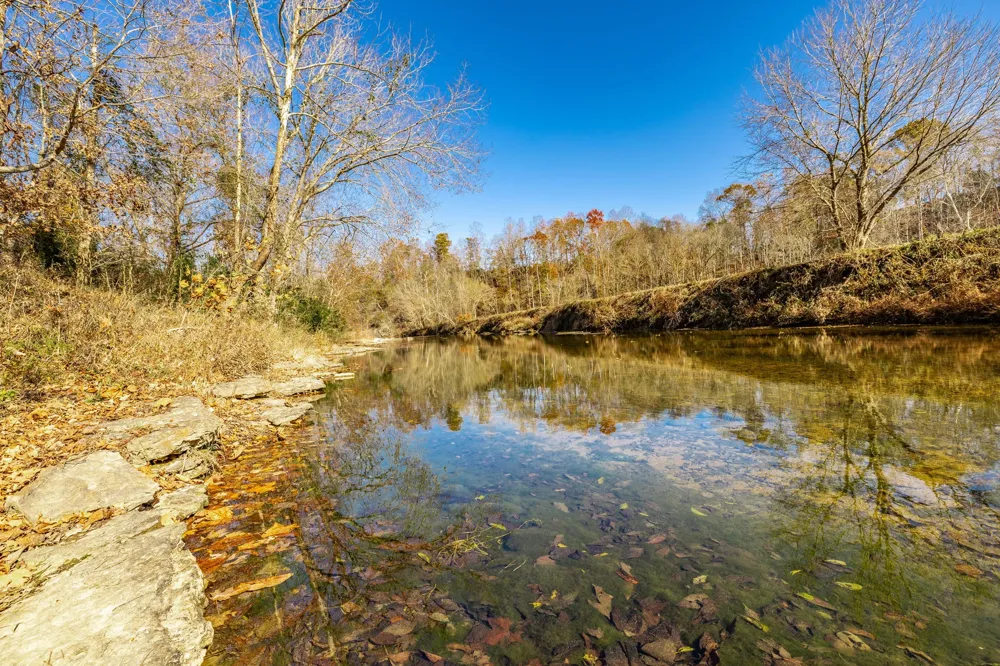 0 East Dana Kepley Westmoreland, TN 37186