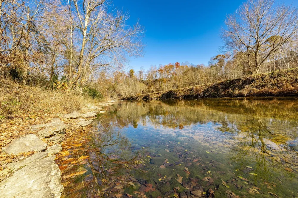 0 East Dana Kepley Westmoreland, TN 37186