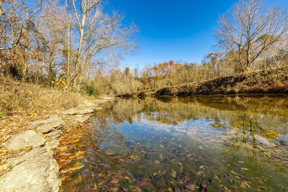 0 East Dana Kepley Westmoreland, TN 37186