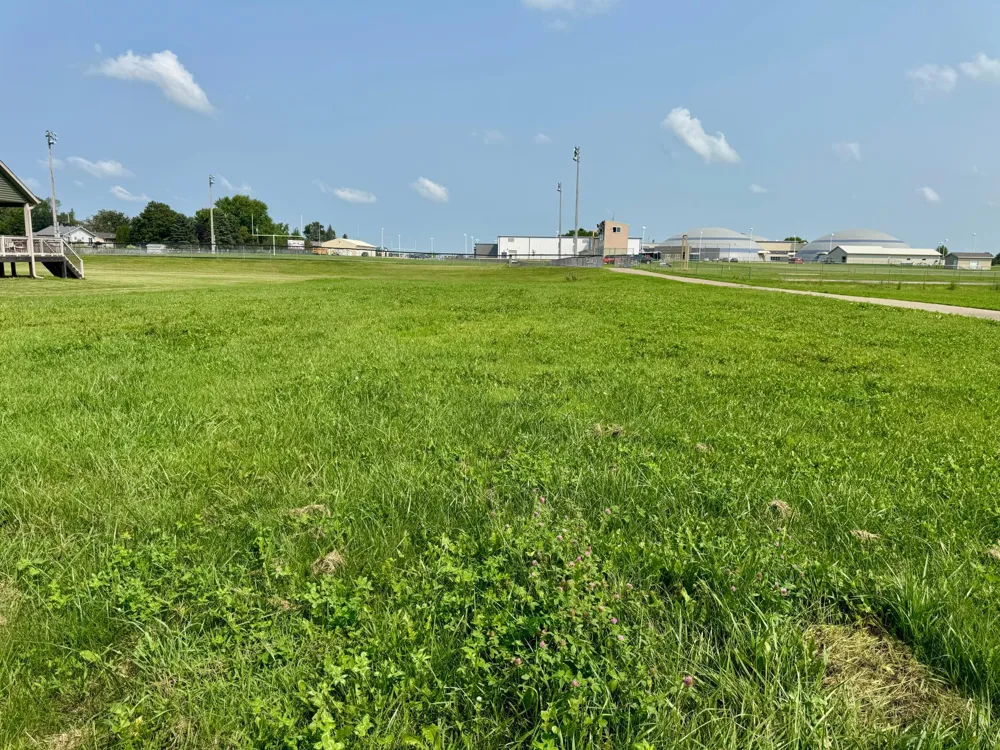 TBD Glynn (L7B1) Avenue NE Grand Meadow, MN 55936