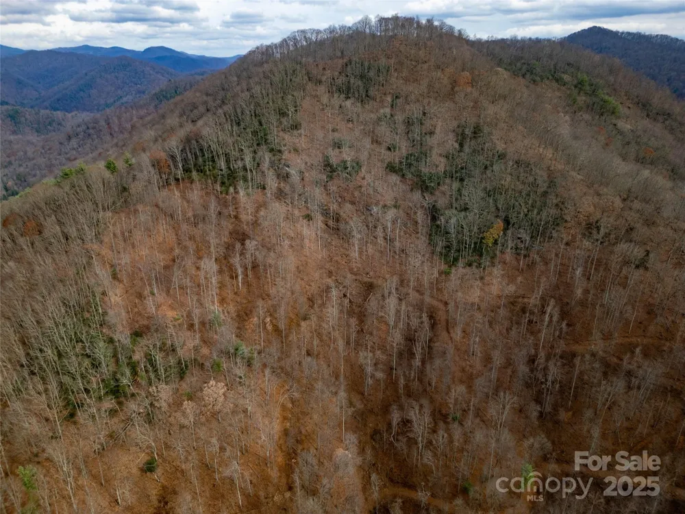 ### Grapevine Road Marshall, NC 28753