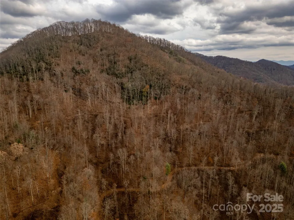 ### Grapevine Road Marshall, NC 28753