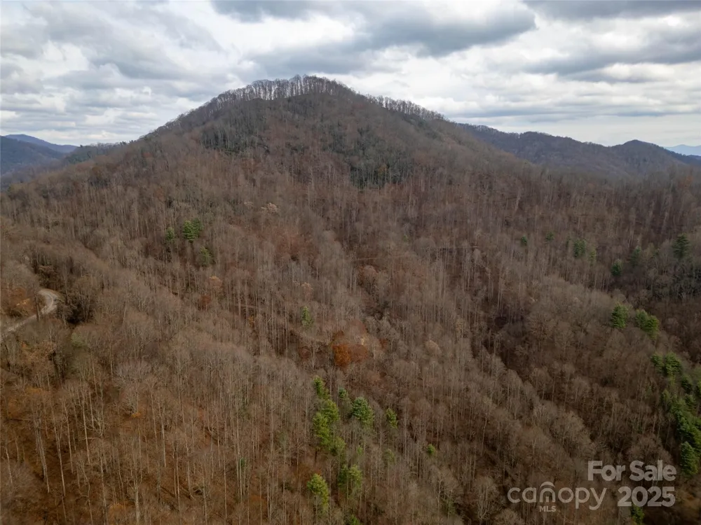 ### Grapevine Road Marshall, NC 28753