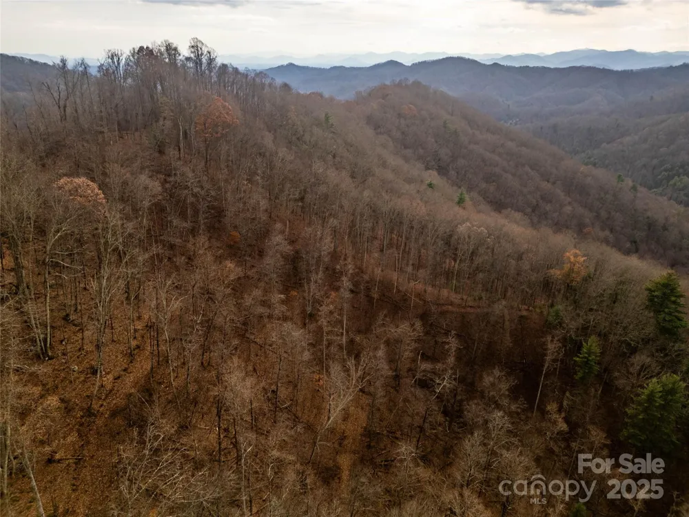 ### Grapevine Road Marshall, NC 28753