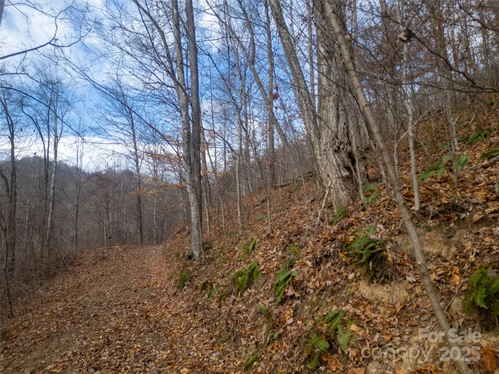 ### Grapevine Road Marshall, NC 28753