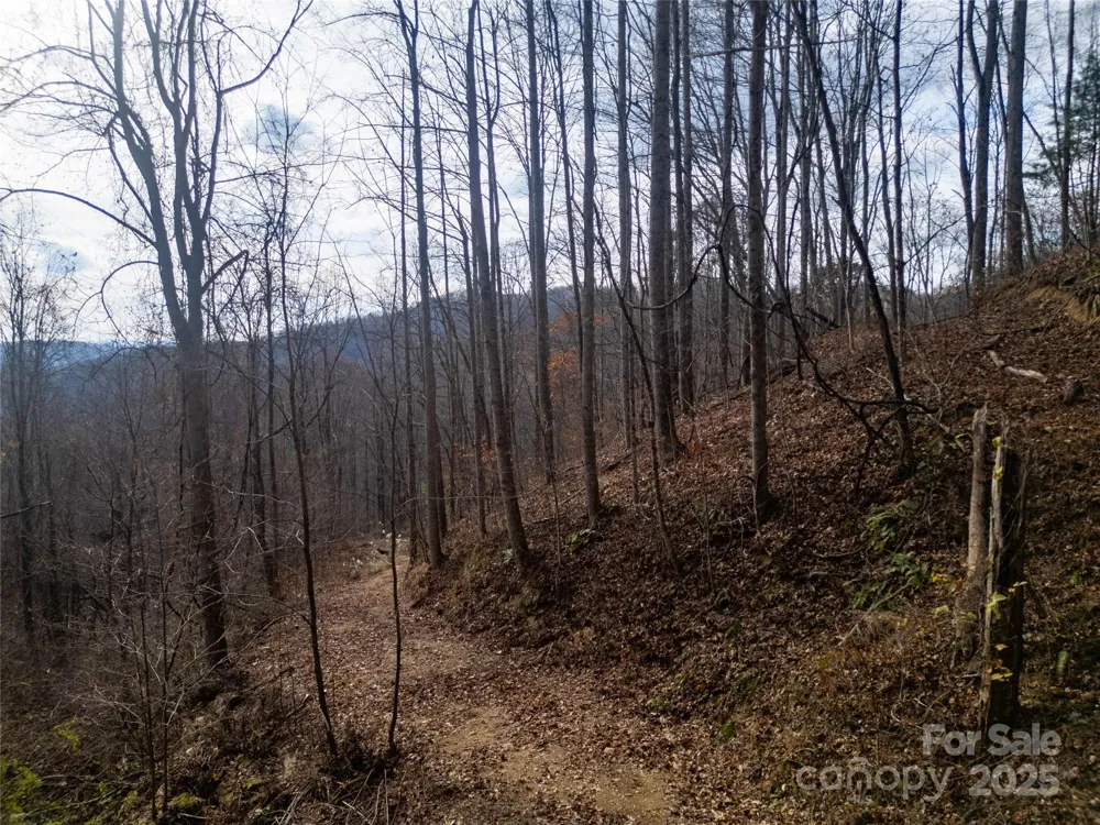 ### Grapevine Road Marshall, NC 28753