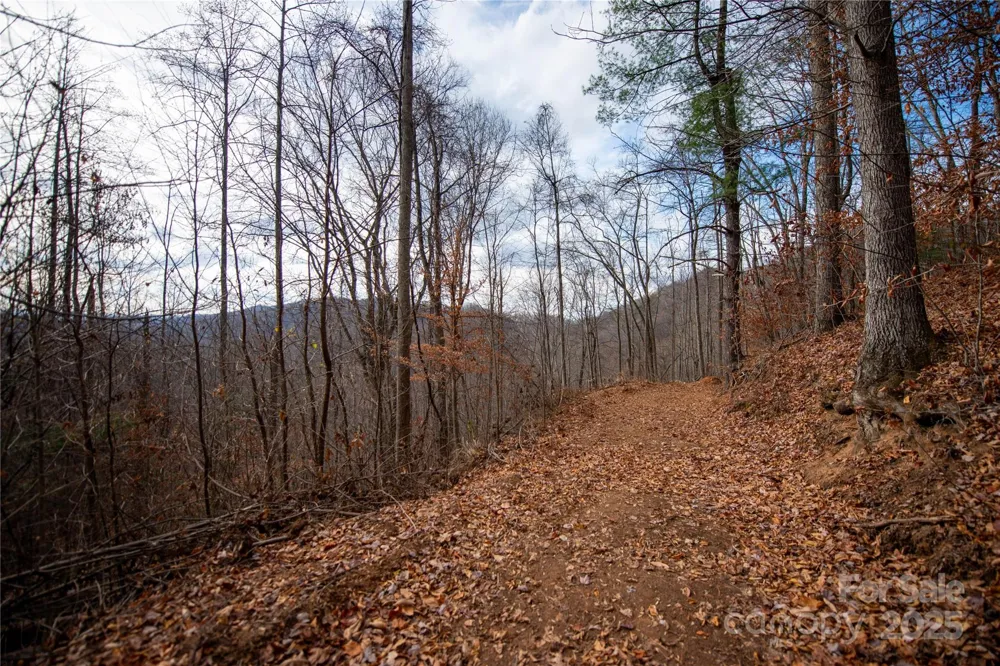 ### Grapevine Road Marshall, NC 28753