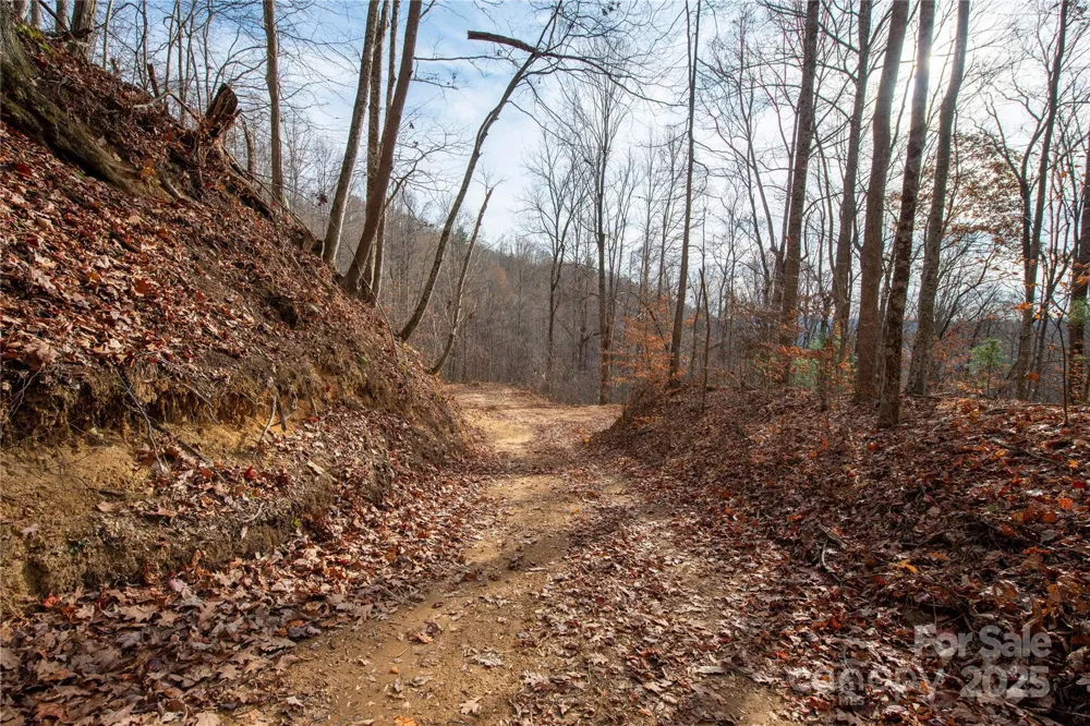 ### Grapevine Road Marshall, NC 28753